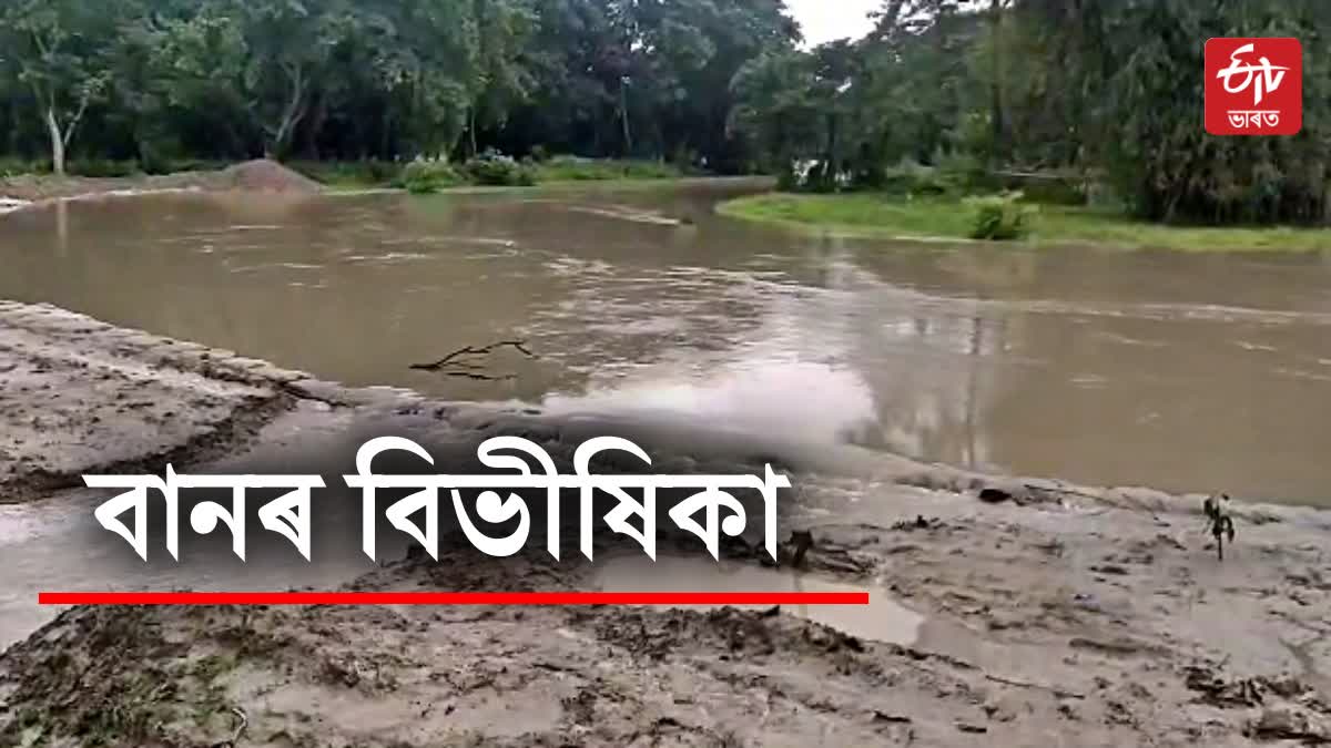 Flood in Assam