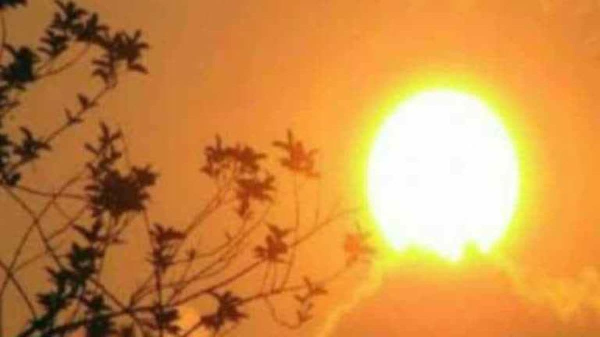 Severe Heat in Chhattisgarh