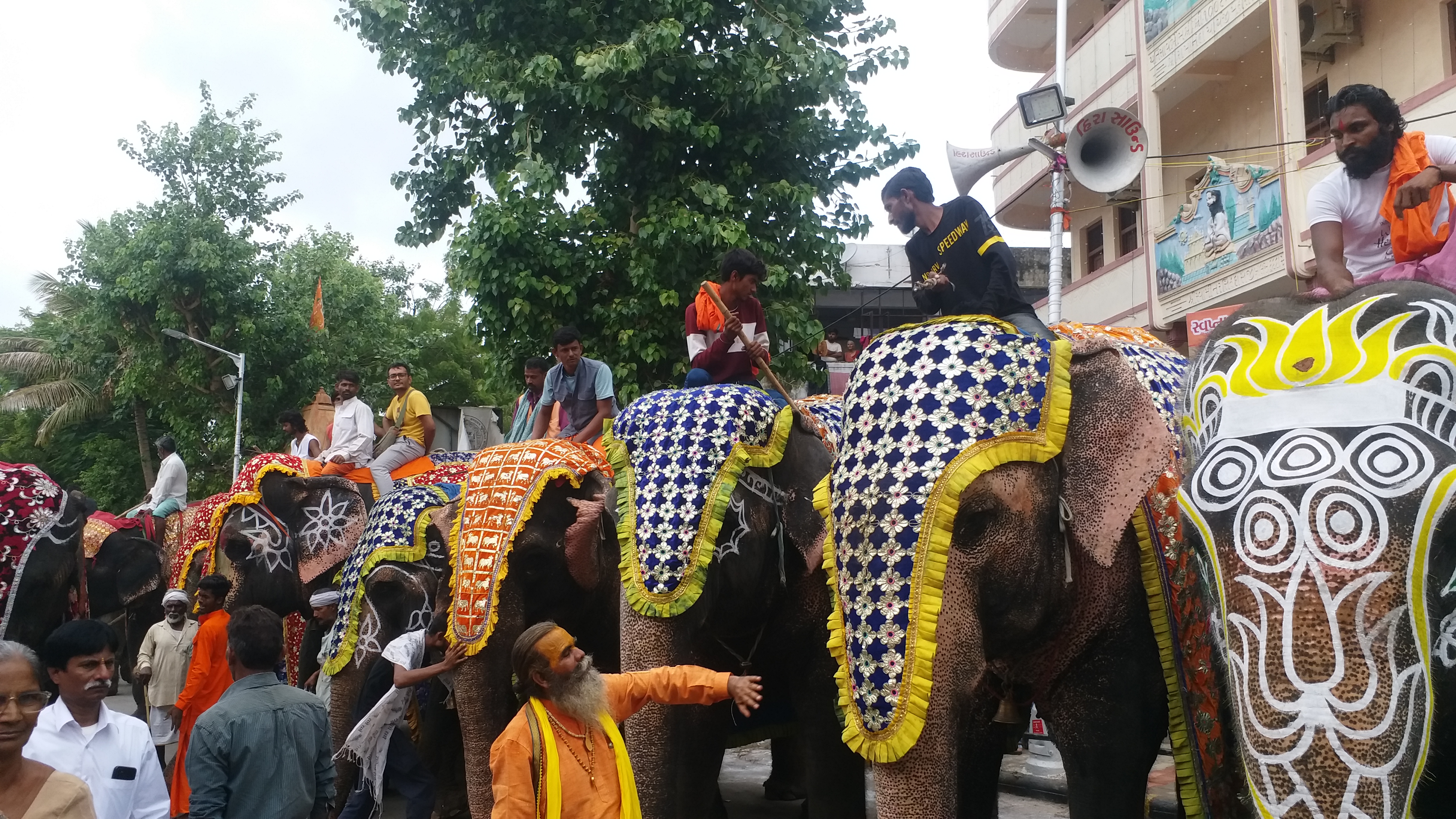 13 ગજરાજનું પૂજન