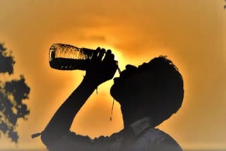 Bihar heat wave  Bihar heat wave  Bihar heat wave Death toll  heat stroke  heat wave  Bhojpur  Bhojpur heat wave  bihar red alert  Mufassil police station area  NAMCH  Bihar  ബിഹാർ  ബിഹാർ ഉഷ്‌ണതരംഗം  ബിഹാർ ഉഷ്‌ണതരംഗം മരണസംഖ്യ  ബിഹാർ ഉഷ്‌ണതരംഗം മരണം  ബിഹാർ ചൂട്  ബിഹാർ റെഡ് അലർട്ട് പ്രഖ്യാപിച്ച ജില്ലകൾ  ഭോജ്‌പൂർ  റെഡ് അലർട്ട്  ബിഹാർ ഉഷ്‌ണതരംഗം രോഗങ്ങൾ  ഭോജ്‌പൂരിൽ റെഡ് അലർട്ട്  ബിഹാറിൽ റെഡ് അലർട്ട്  നിരോധനാജ്ഞ  ബിഹാർ നിരോധനാജ്ഞ