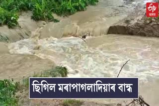 Flood situation worsens in Nalbari district