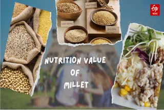 Nutrition value of millet Useful in diseases like sugar-BP