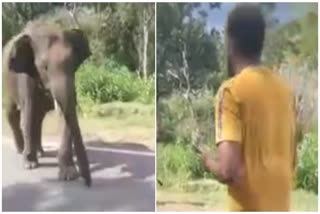 man who went to take a photo with an elephant  elephant just missed the attack in TamilNadu  ಆನೆ ಜೊತೆ ಫೋಟೋ ತೆಗೆದುಕೊಳ್ಳಲು ಹೋದ ಯುವಕ  ಒಂಟಿ ಸಲಗನ ದಾಳಿಯಿಂದ ಜಸ್ಟ್ ಮಿಸ್  ರಾಷ್ಟ್ರೀಯ ಹೆದ್ದಾರಿಯಲ್ಲಿ ನಿಂತಿದ್ದ ಆನೆ  ಹೆದ್ದಾರಿಯಲ್ಲಿ ಆಗಾಗ ಆನೆಗಳ ಓಡಾಟಗಳು ಸಾಮಾನ್ಯ  ತರಕಾರಿ ಹಾಗೂ ಕಬ್ಬು ತುಂಬಿದ ಲಾರಿಗಳ ಸಂಚಾರ  ಆನೆಗಳು ಆಹಾರಕ್ಕಾಗಿ ಸರಕು ತುಂಬಿದ ಲಾರಿಗಳ ಮೇಲೆ ದಾಳಿ