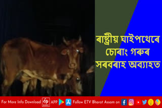 Smuggled cattle seized in Sabuwa