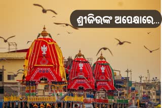 Ratha Yatra 2023