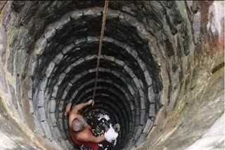 Sri Vishwaprasanna Theertha Swamiji Saved the Kitten That Had Fallen into the Well