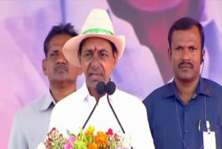 CM KCR