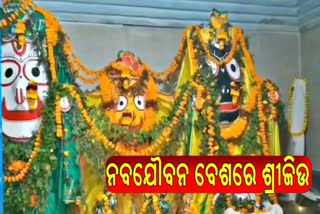 naba jaubana darshan of lord jagannath and his siblings