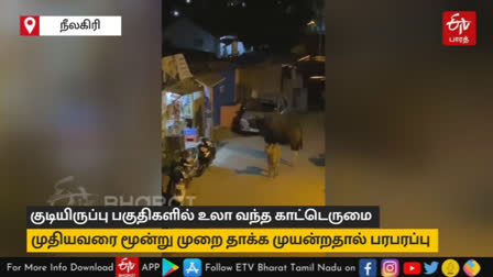 குடியிருப்பு பகுதிகளில் உலா வந்த காட்டெருமை முதியவரை தாக்க முயன்ற வீடியோ வைரலாகி பரபரப்பை ஏற்படுத்தியுள்ளது