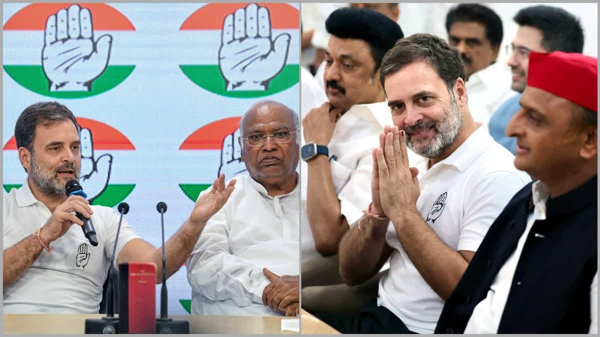'Stood Against Hatred': Cong, INDIA Bloc Leaders Hail Rahul on Birthday