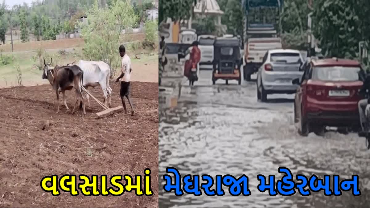 વલસાડમાં મેઘરાજાની એન્ટ્રી