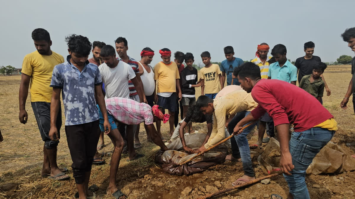 शराब के अड्डे नष्ट किये.