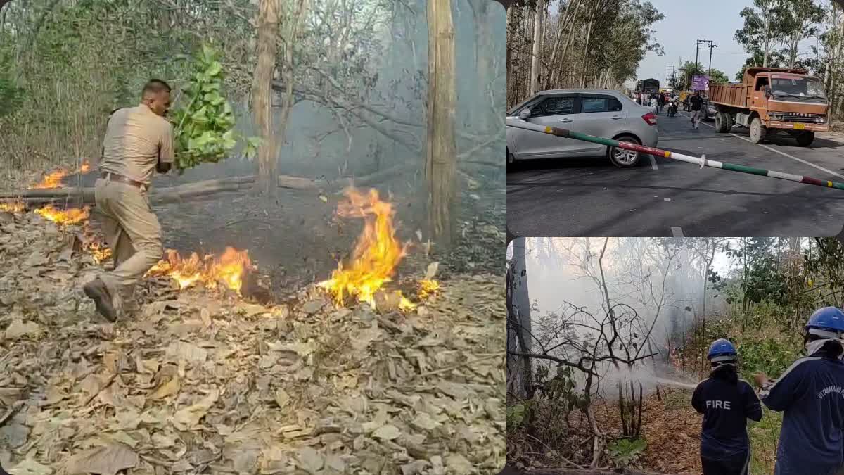 Haldwani Forest Fire Incident