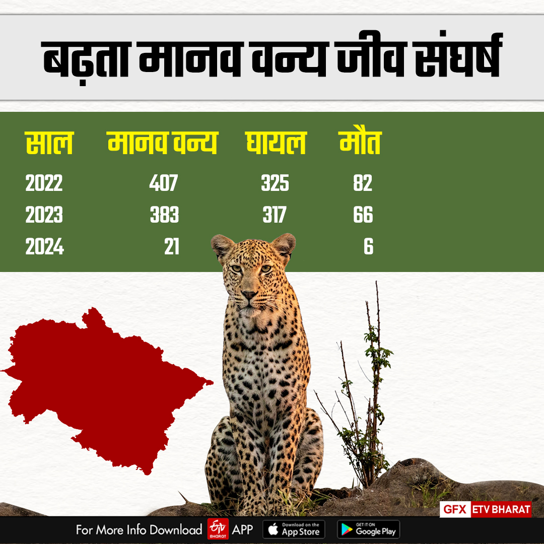 LEOPARDS DECREASED IN UTTARAKHAND