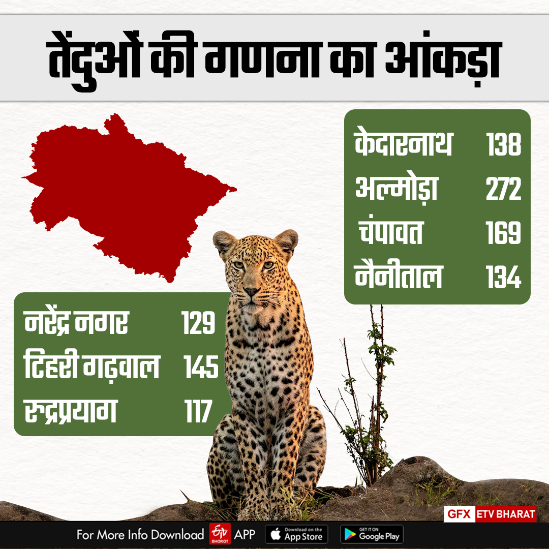 LEOPARDS DECREASED IN UTTARAKHAND