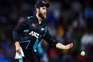 Kane Williamson