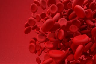 Anemia Symptoms News