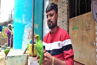 Parrot with Imtiaz