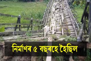 Majuli bridge collapse