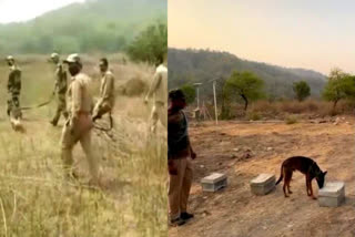 Trained sniffer dogs to patrol Corbett Tiger Reserve.