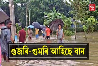 Flood of Baralia river