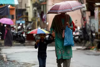 WEATHER UPDATE  YELLOW ALERT IN KERALA  KERALA RAIN ALERTS WEATHER UPDATE  സംസ്ഥാനത്ത് മഴ മുന്നറിയിപ്പ്‌