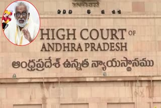 HC On MP YV Subba Reddy Petition