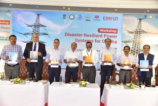 Disaster Resilient Power Systems Workshop