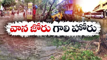 Rains and Thunderstorms in Andhra Pradesh