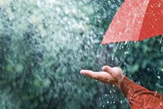 haryana weather update
