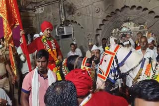 Saint Dnyaneshwar Maharaj's respected horse arrives in Alandi, 300 km journey on foot from Ankali