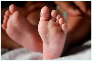 Mezhuveli newborn baby Murder  newborn baby Murder  Mezhuveli Murder  നവജാത ശിശുവിൻ്റെ കൊലപാതകം