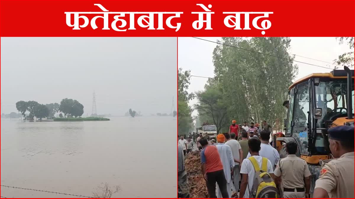 Flood In Fatehabad