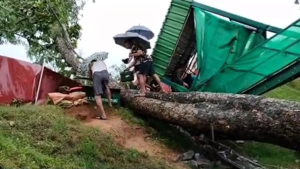 tree falls on SSB jawan in kanker