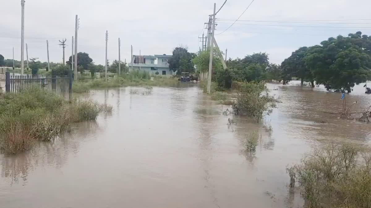 flood in sirsa