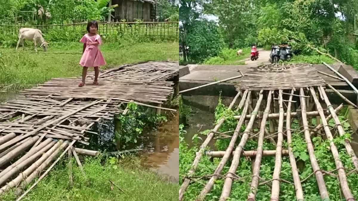 bamboo bridges