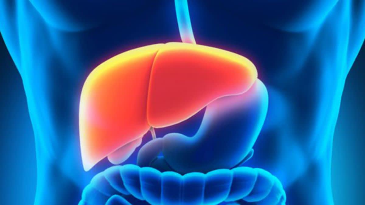 Liver Disease