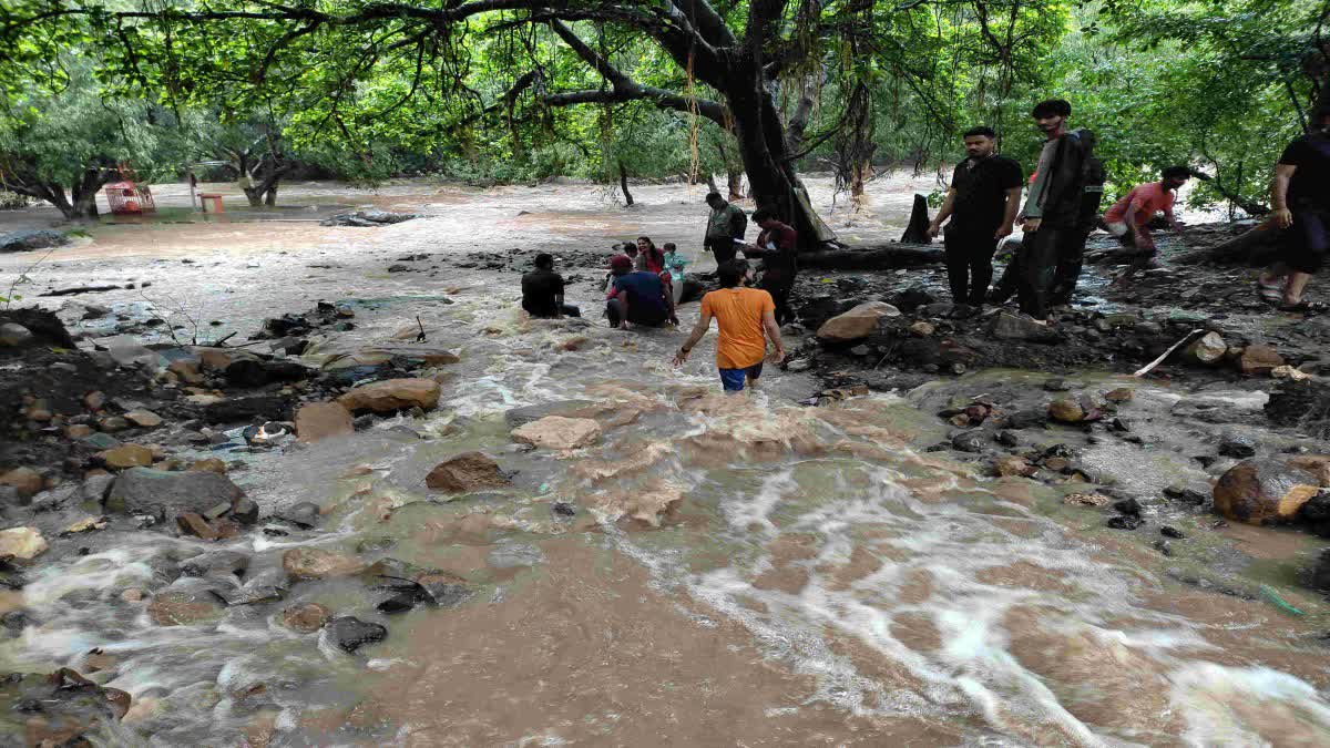 Junagadh Rain : ગીરની પ્રકૃતિ સોળે કળા ખીલી ઊઠી, લોકોને હૈયે હરખ ન સમાતા પહોંચ્યા દોડીને સ્નાન કરવા