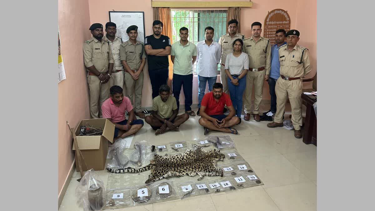 Tiger Skin Smuggling Case