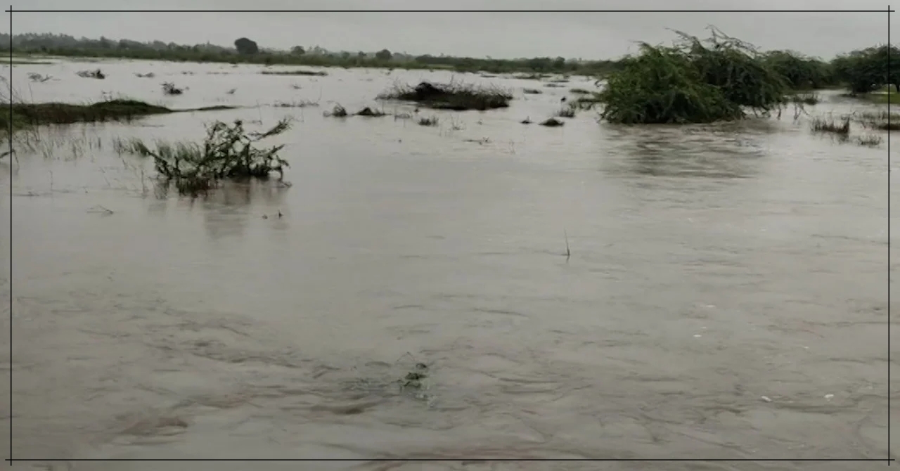 ભારે વરસાદને કારણે સૌરાષ્ટ્રના ગ્રામ્ય પંથકમાં આવેલા ખેતરમાં પાણી ભરાયા