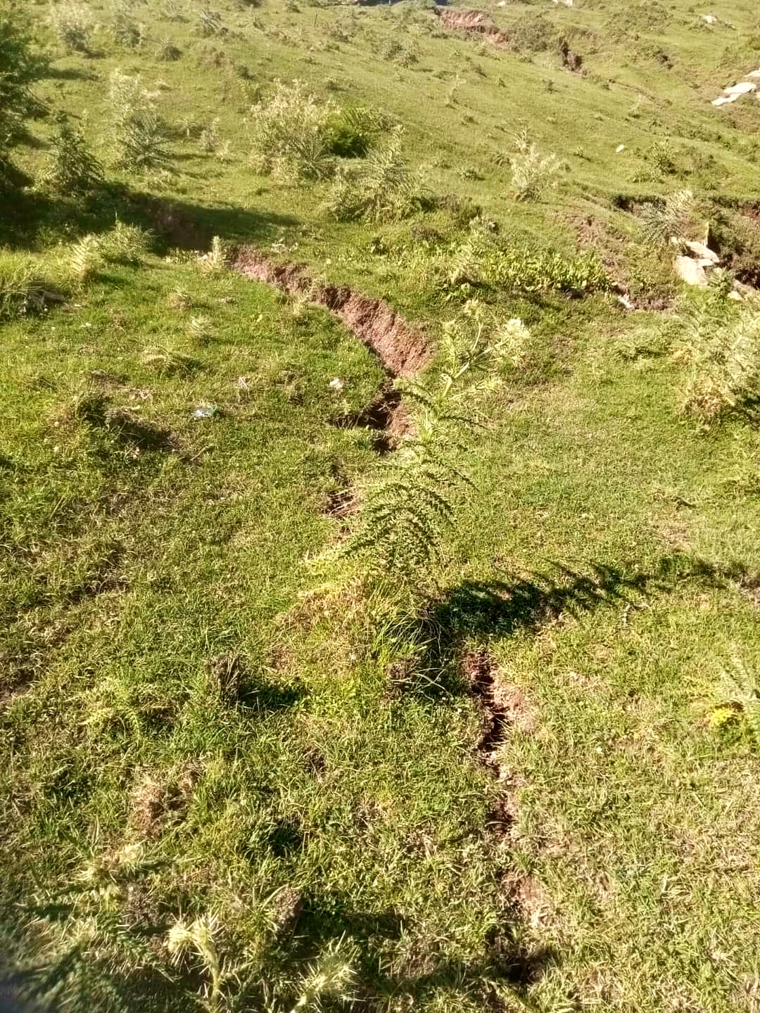 Cracks on Bijli Mahadev Hills in Kullu.