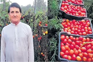 Tomato Farmer Crorepati