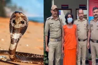 Snake  Uttarakhand  ഉത്തരാഖണ്ഡ്  crime news  Poisonous conspiracy