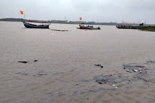 Godavari Water Level Today