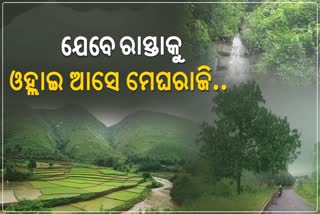 କୋଟିଆ ବୁଲି ଆସିଛି ଫୁଲେଇ ବର୍ଷା