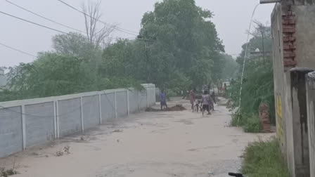 Sardulgarh people are in panic due to rain and water from Ghaggar