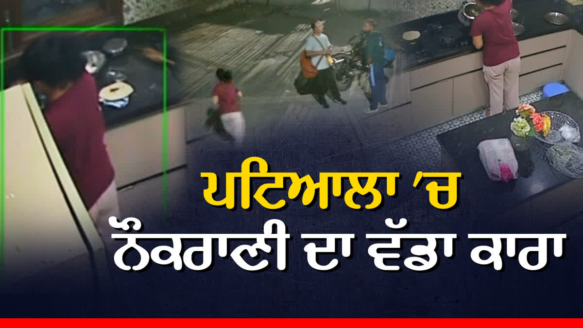 patiala maid food to owner and son then unconscious for the robbery