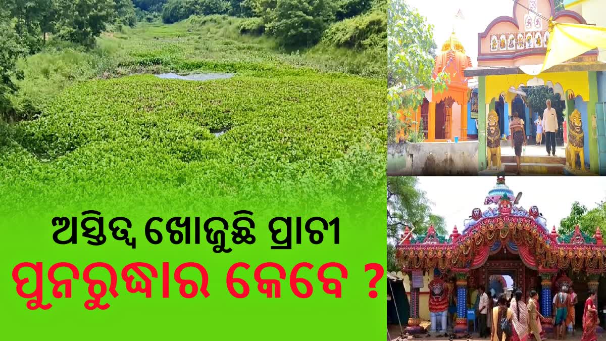 ଦଳ ଭିତରେ ପରିଚୟ ଖୋଜୁଛି ପୂଣ୍ୟତୋୟା ପ୍ରାଚୀ; ଅବହେଳିତ ତ୍ରିବେଣୀ ଘାଟ, ପିଣ୍ଡଦାନ ପାଇଁ ନାକ ଟେକୁଛନ୍ତି ଲୋକେ