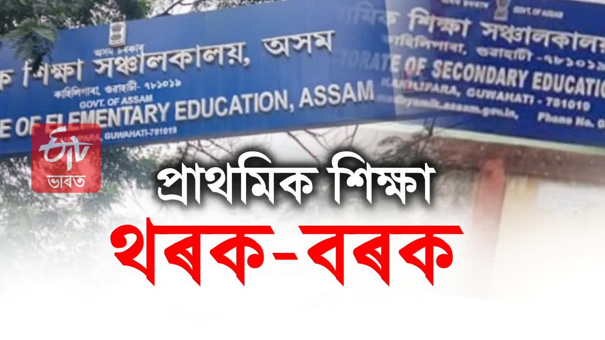 Assam Govt Education Sector