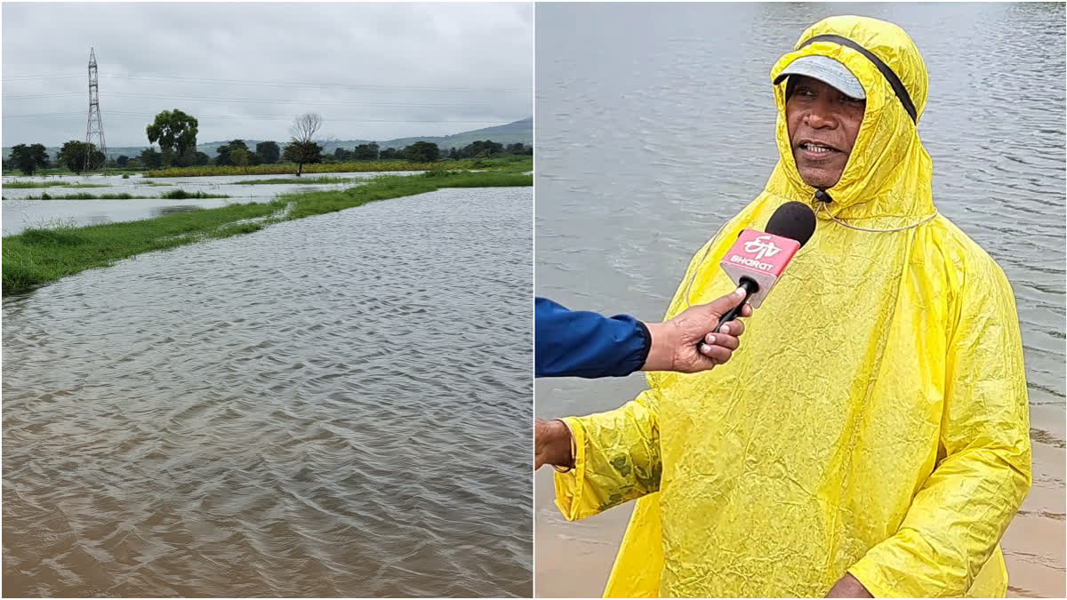 FARMERS FEAR CROP DAMAGE  WATER SEEPS INTO FIELDS  HEAVY RAIN IN BELAGAVI  BELAGAVI